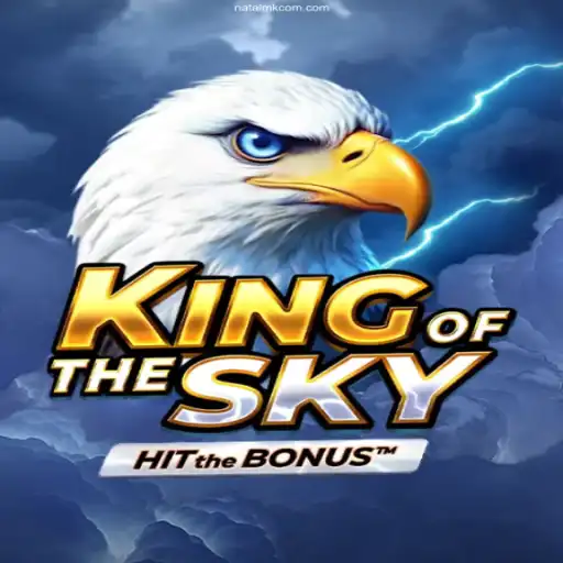 KingOfTheSky: Exploring the Thrills of the High-Flying Adventure